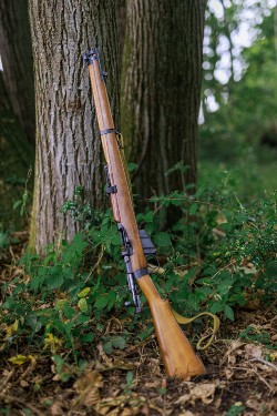 303 Lee Enfield Deer Stalking