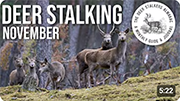 November - Everything you need to know | Deer Stalkers Almanac