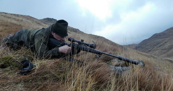 Blaser R8 County Deer Stalking