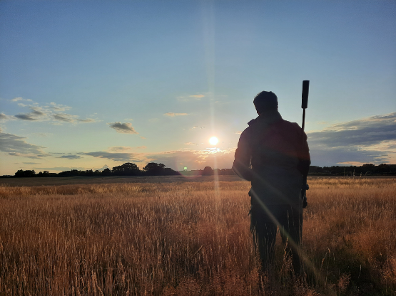 Deer Stalking September