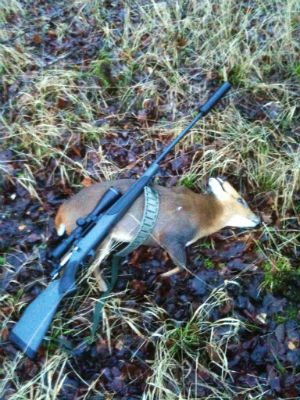 Midwintermuntjac1