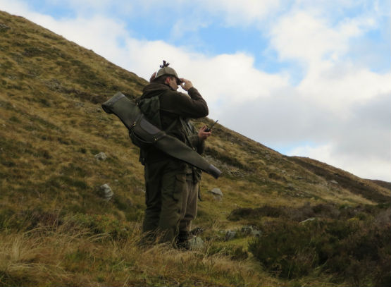 Winter cull Scotland