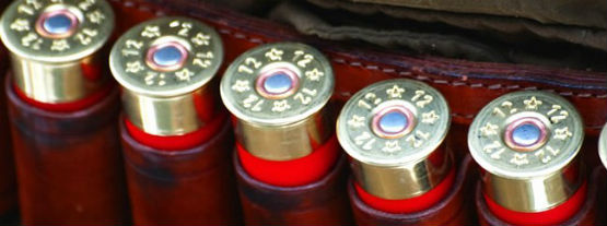 shotgunshells555